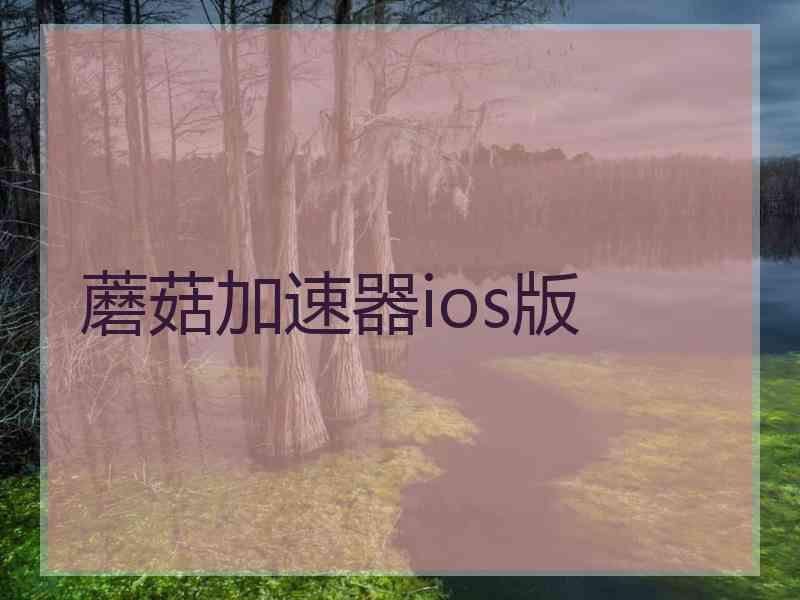 蘑菇加速器ios版