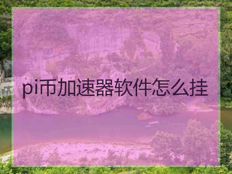 pi币加速器软件怎么挂