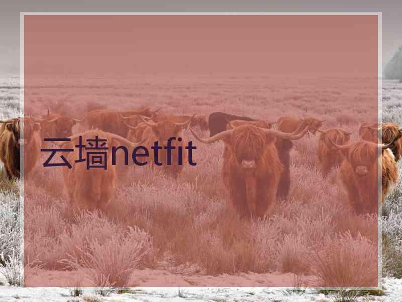 云墙netfit