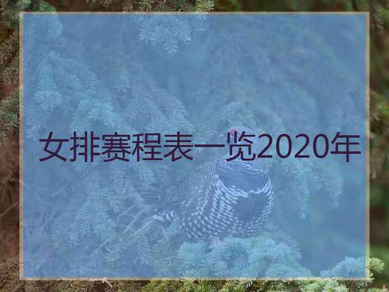 女排赛程表一览2020年