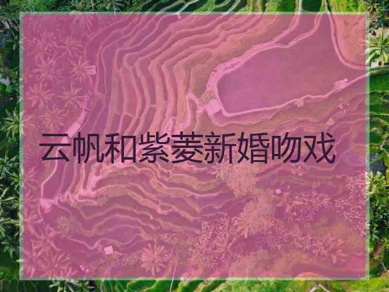 云帆和紫菱新婚吻戏