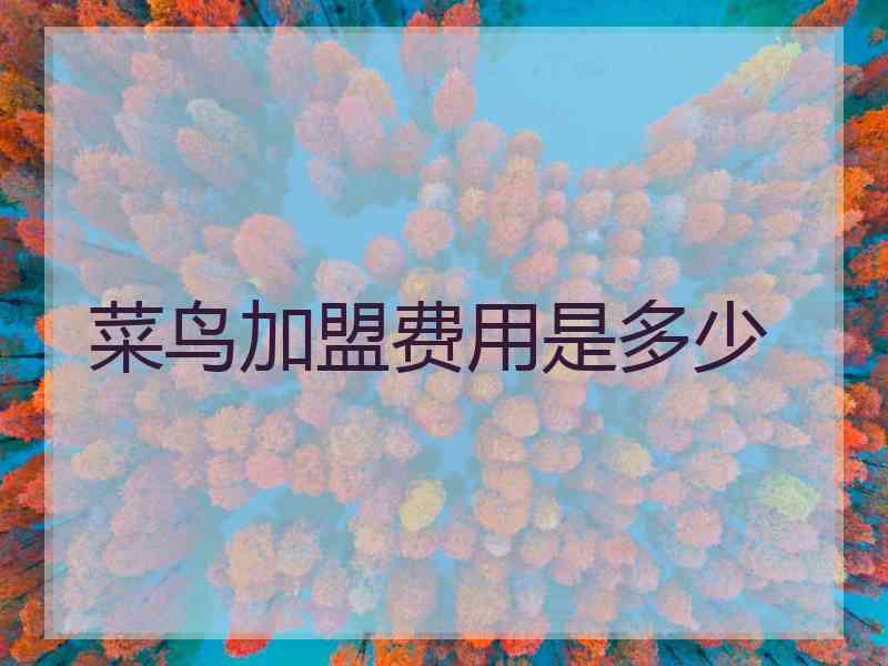 菜鸟加盟费用是多少