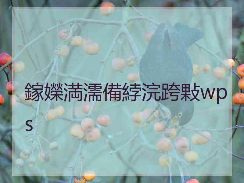 鎵嬫満濡備綍浣跨敤wps