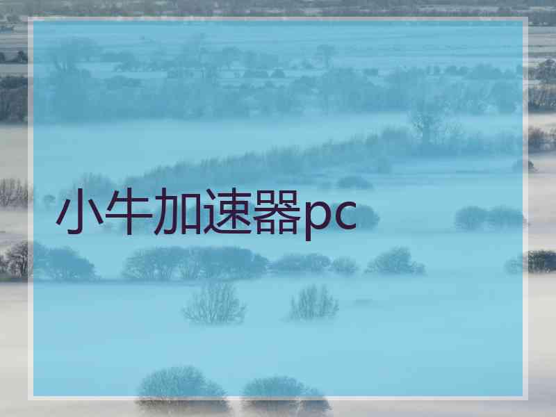 小牛加速器pc