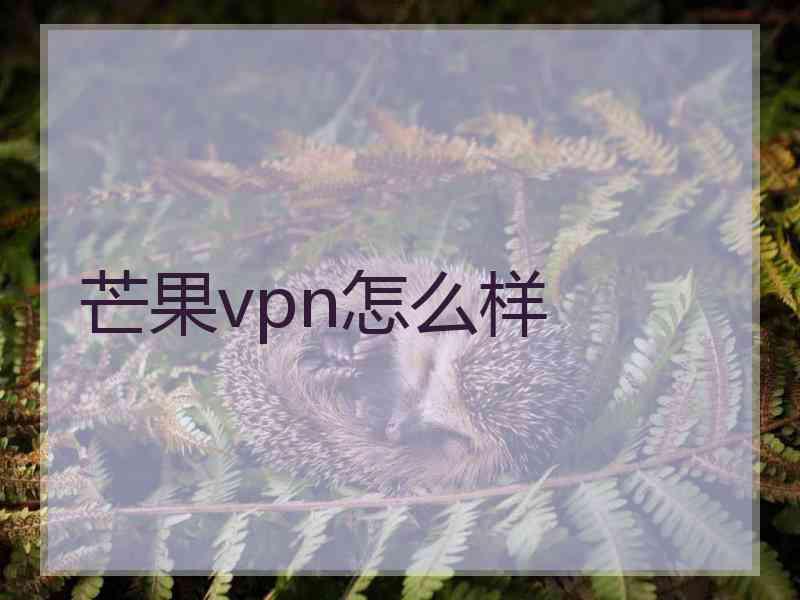 芒果vpn怎么样