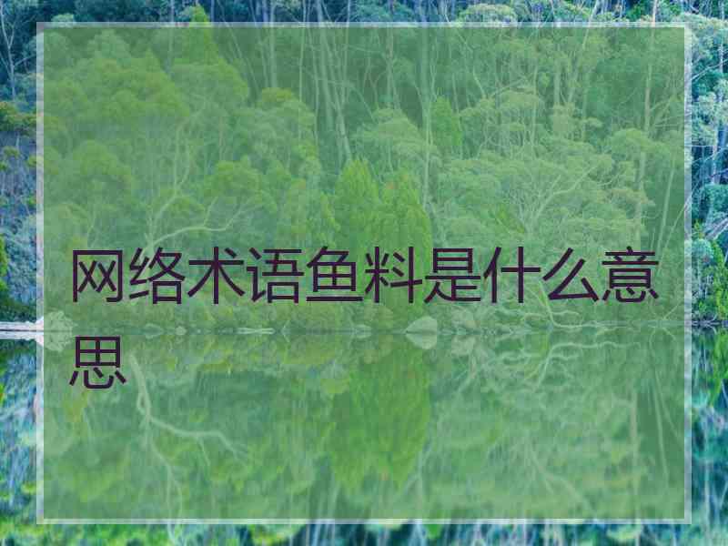 网络术语鱼料是什么意思