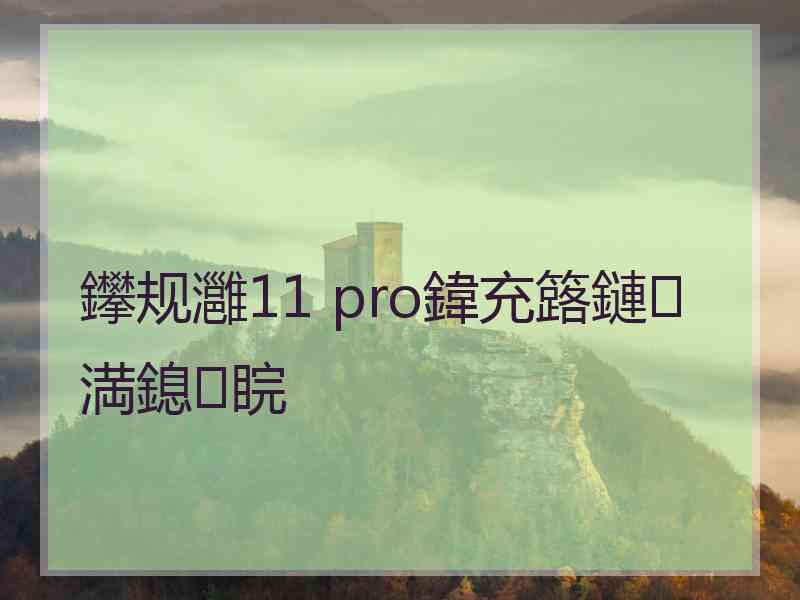 鑻规灉11 pro鍏充簬鏈満鎴睆