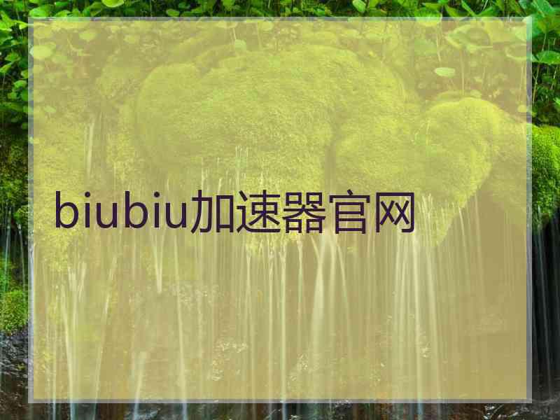 biubiu加速器官网