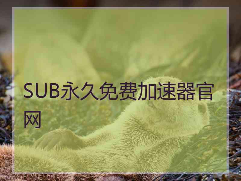 SUB永久免费加速器官网