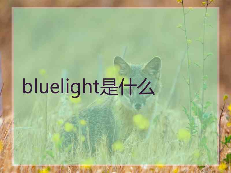 bluelight是什么