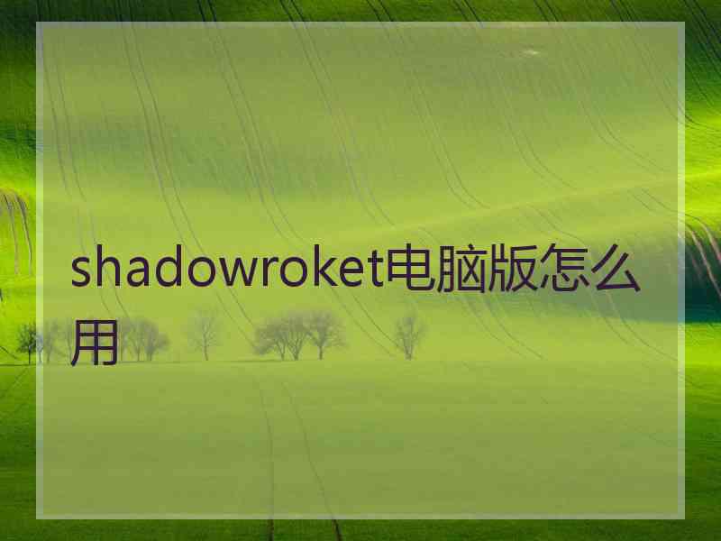 shadowroket电脑版怎么用