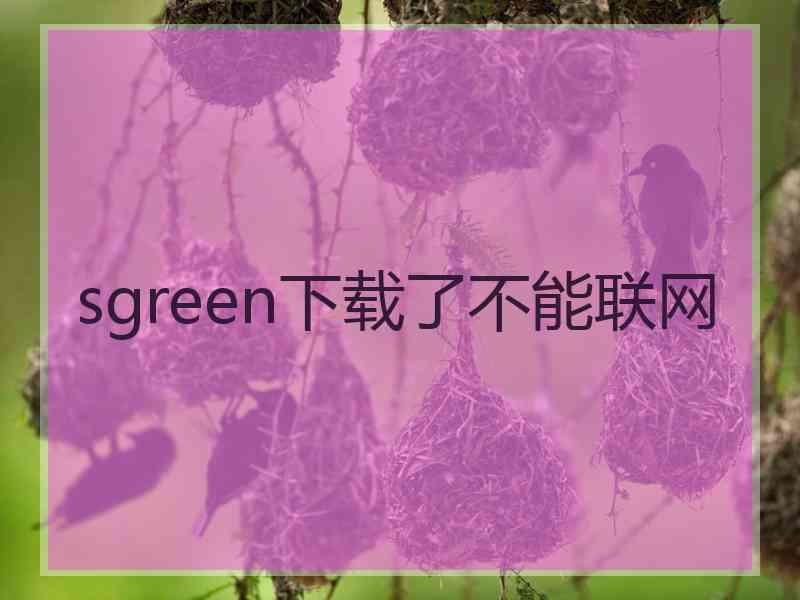 sgreen下载了不能联网