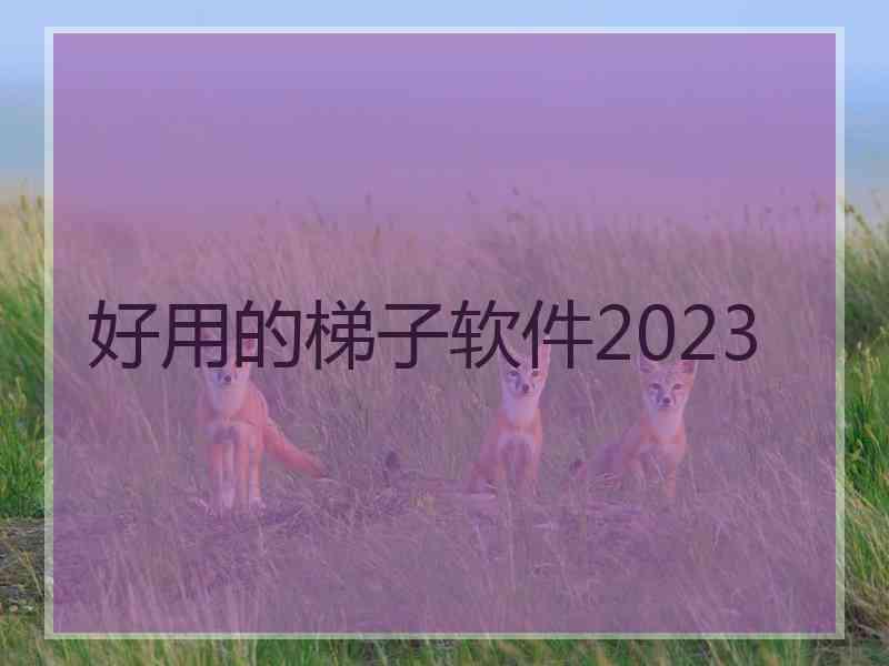 好用的梯子软件2023