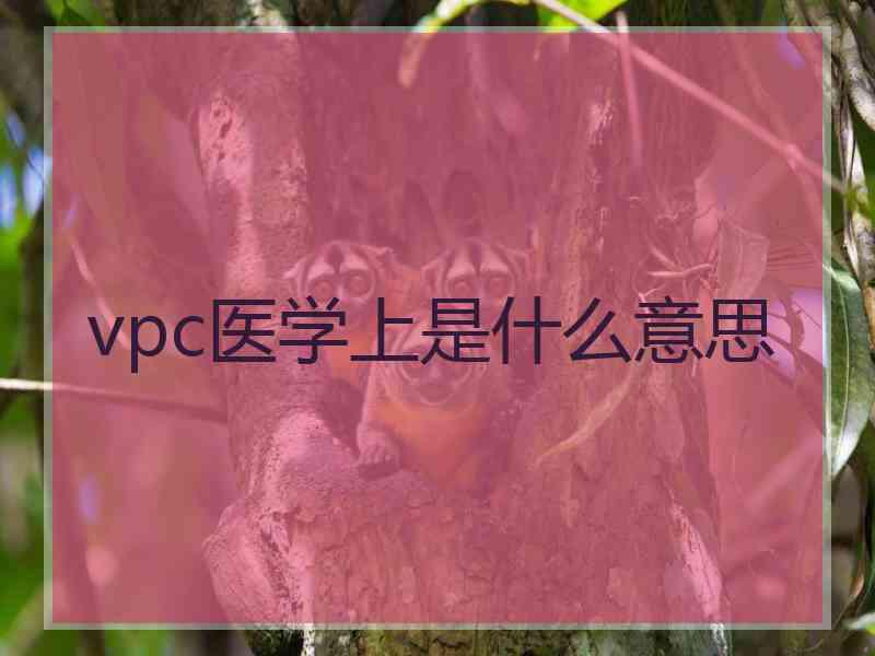 vpc医学上是什么意思