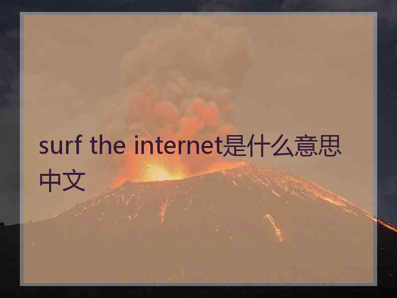 surf the internet是什么意思中文