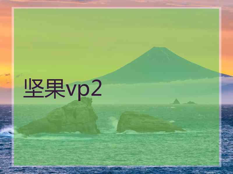 坚果vp2