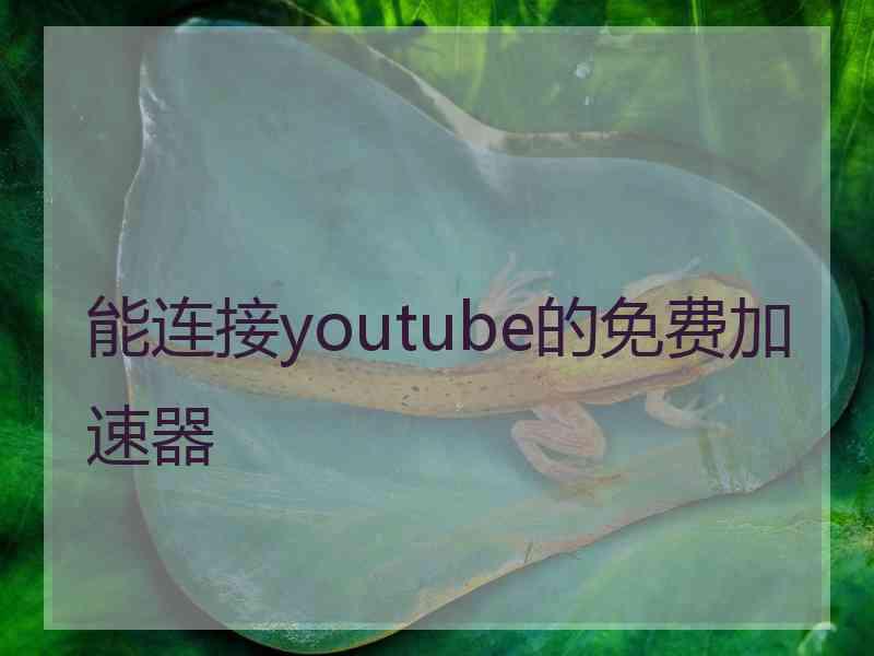 能连接youtube的免费加速器