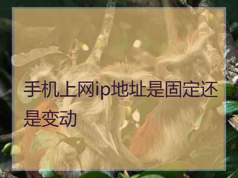 手机上网ip地址是固定还是变动