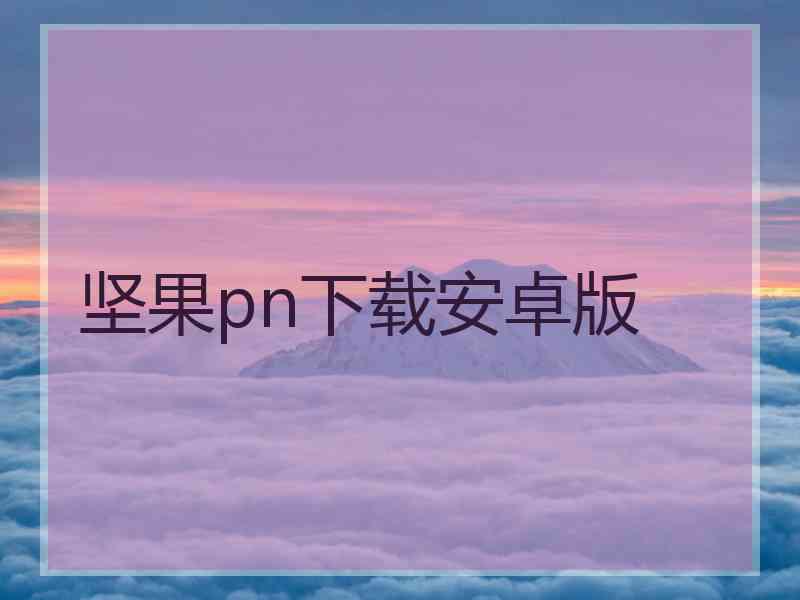 坚果pn下载安卓版