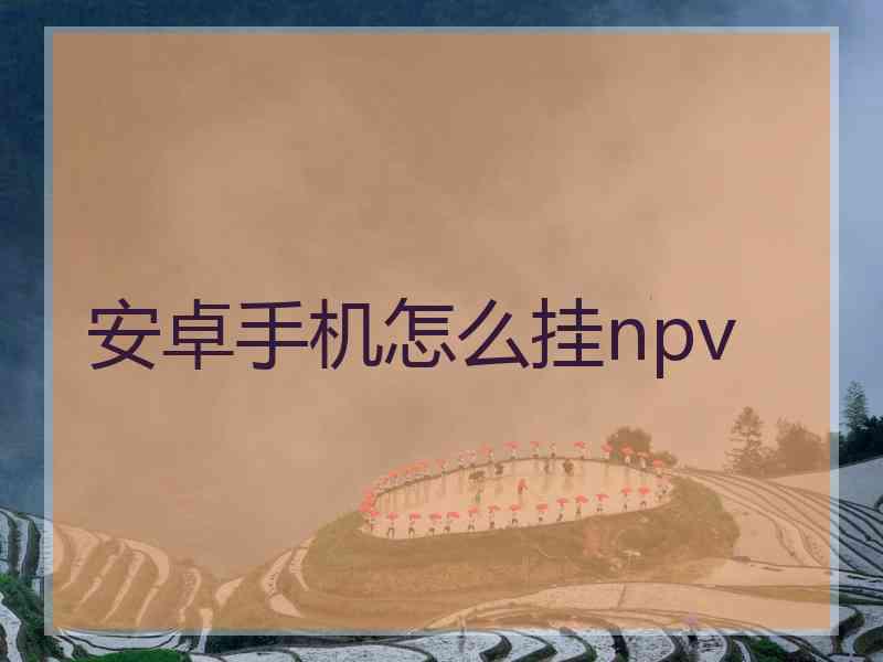 安卓手机怎么挂npv