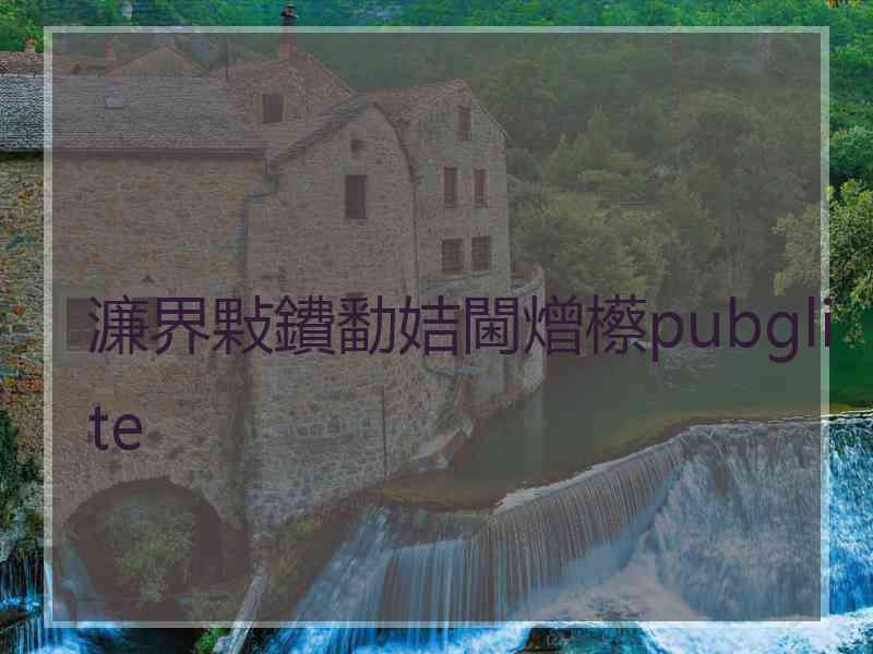 濂界敤鐨勫姞閫熷櫒pubglite