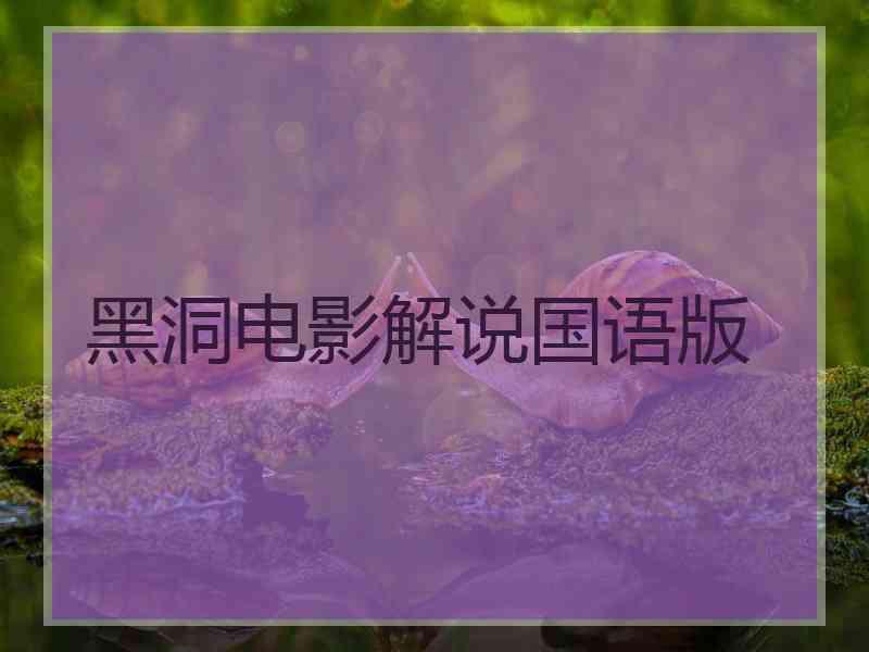 黑洞电影解说国语版