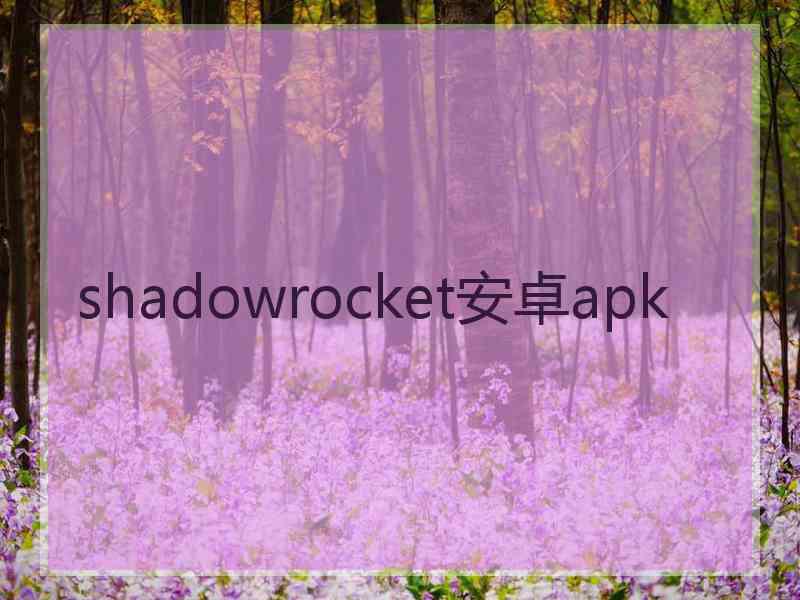 shadowrocket安卓apk