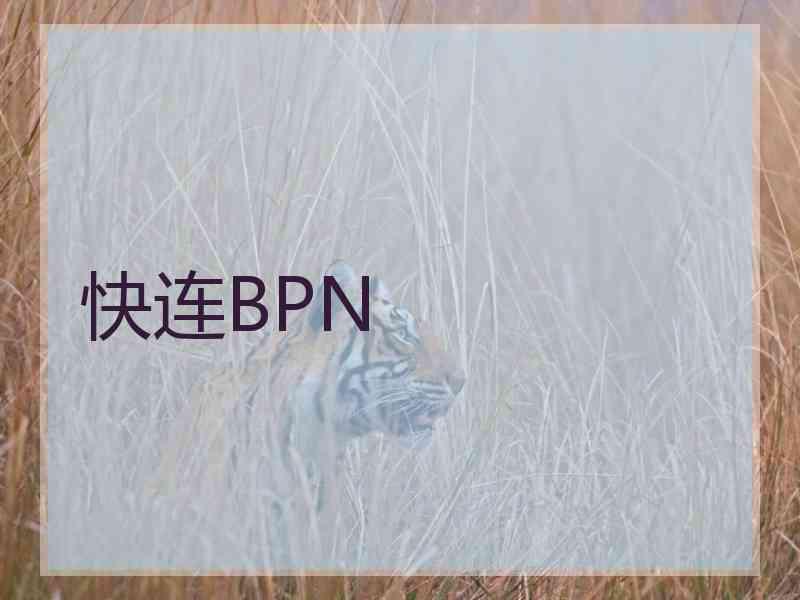 快连BPN