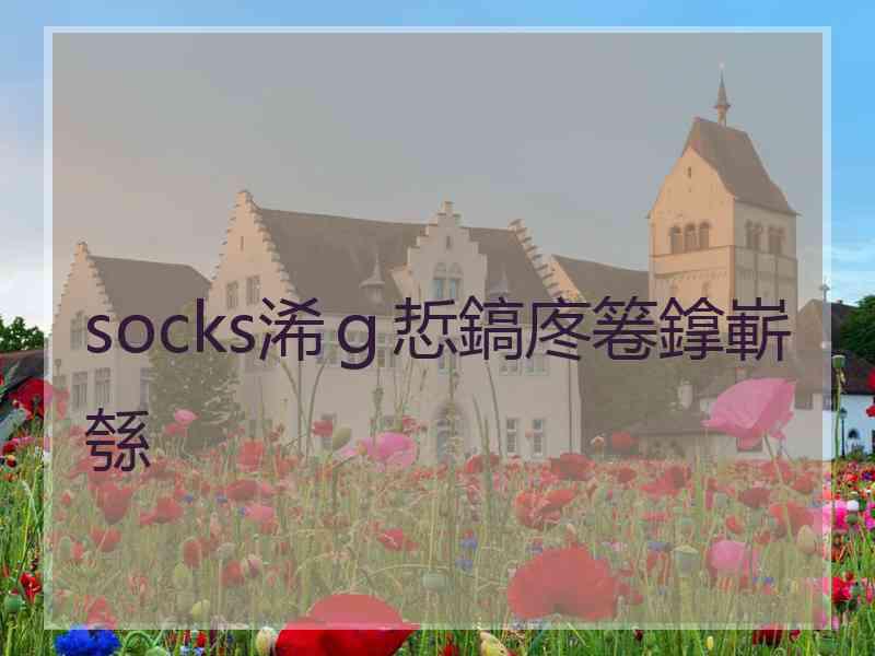 socks浠ｇ悊鎬庝箞鎿嶄綔