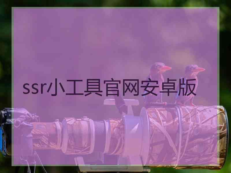 ssr小工具官网安卓版