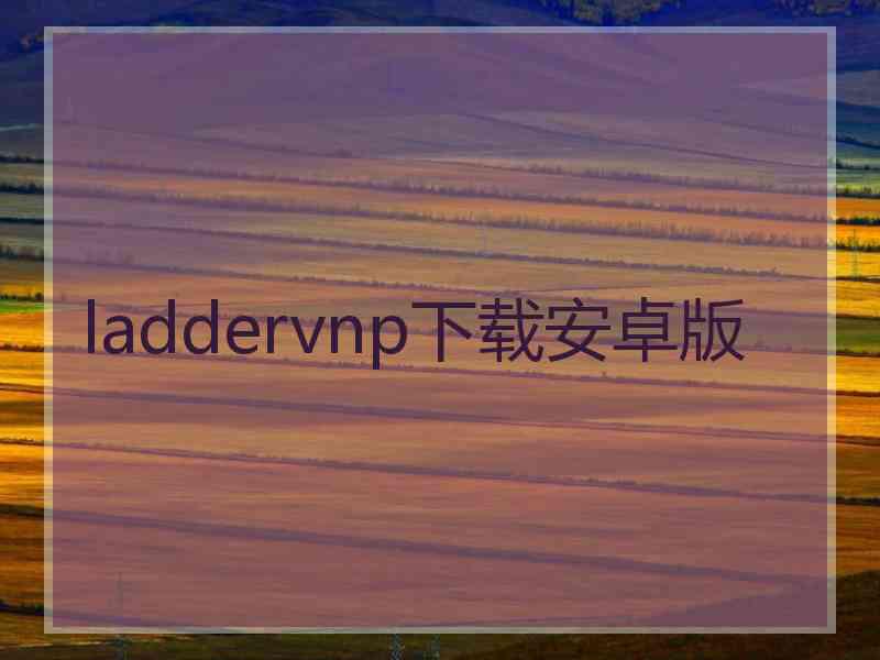 laddervnp下载安卓版