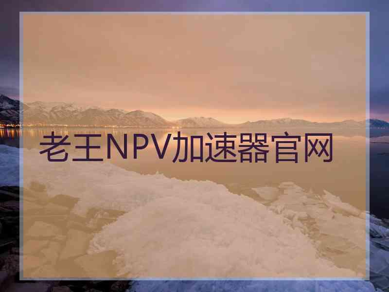 老王NPV加速器官网