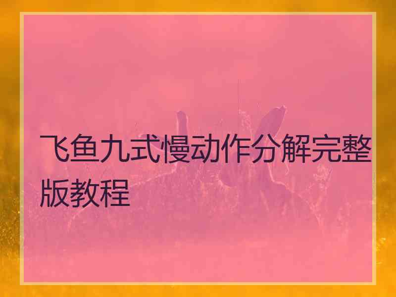 飞鱼九式慢动作分解完整版教程