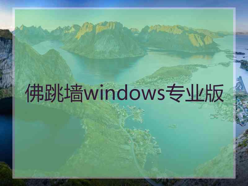 佛跳墙windows专业版