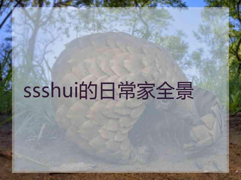 ssshui的日常家全景