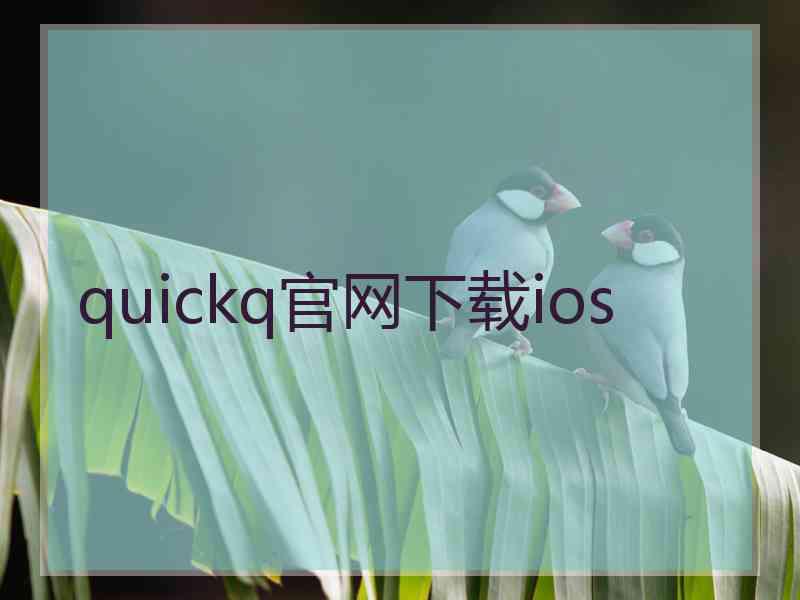 quickq官网下载ios