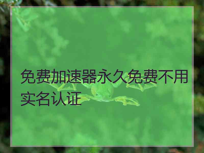 免费加速器永久免费不用实名认证