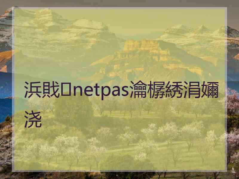 浜戝netpas瀹樼綉涓嬭浇