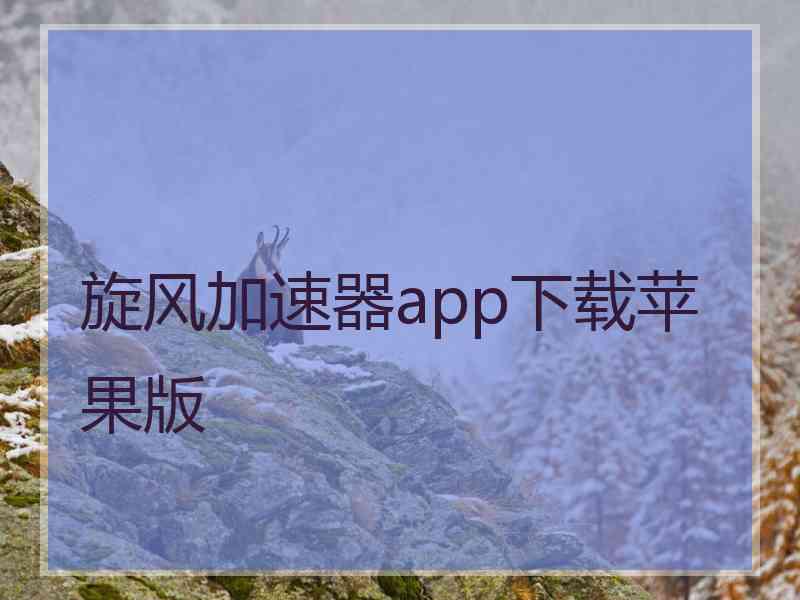 旋风加速器app下载苹果版