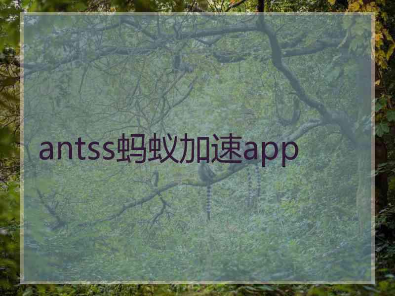 antss蚂蚁加速app