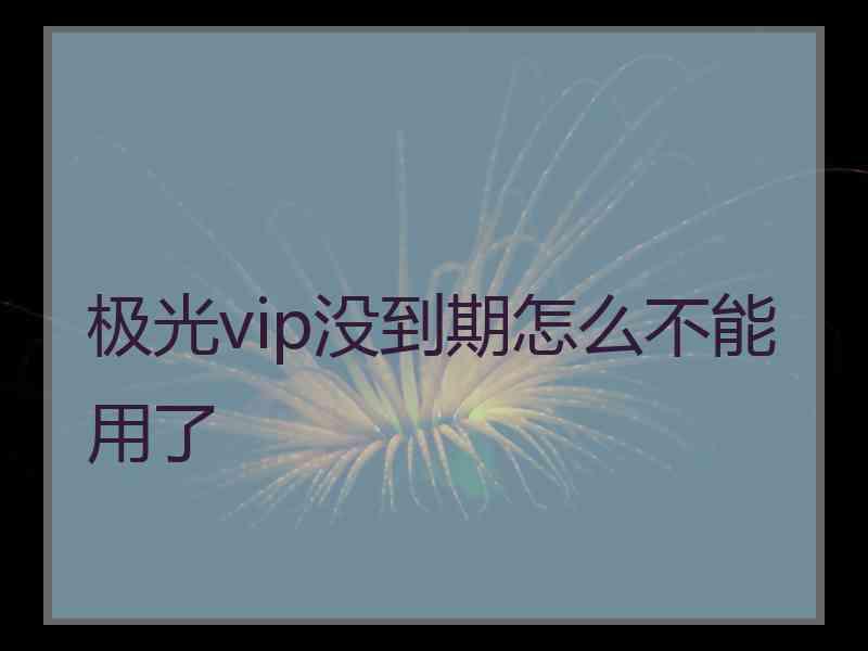 极光vip没到期怎么不能用了