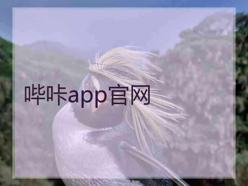 哔咔app官网