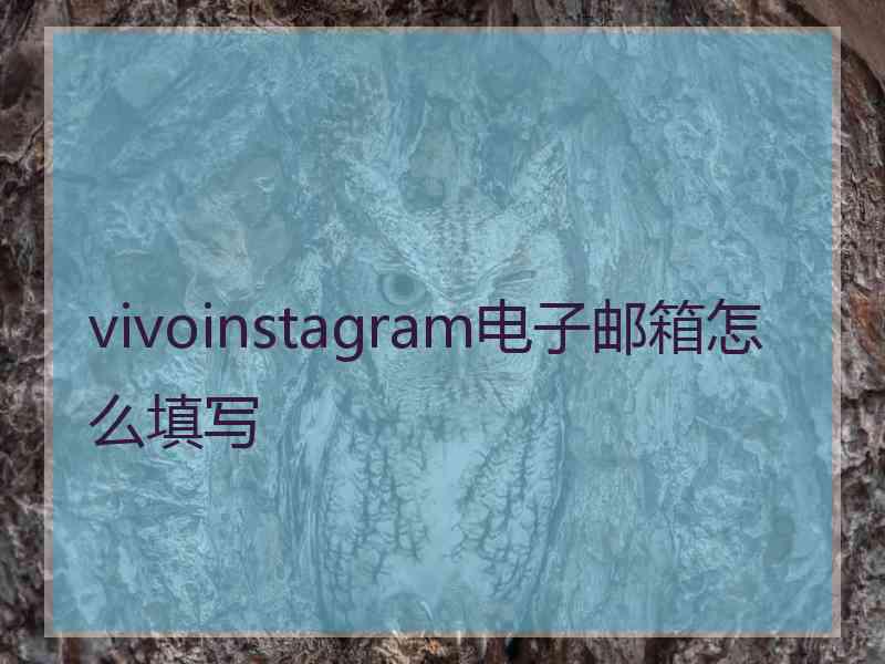 vivoinstagram电子邮箱怎么填写