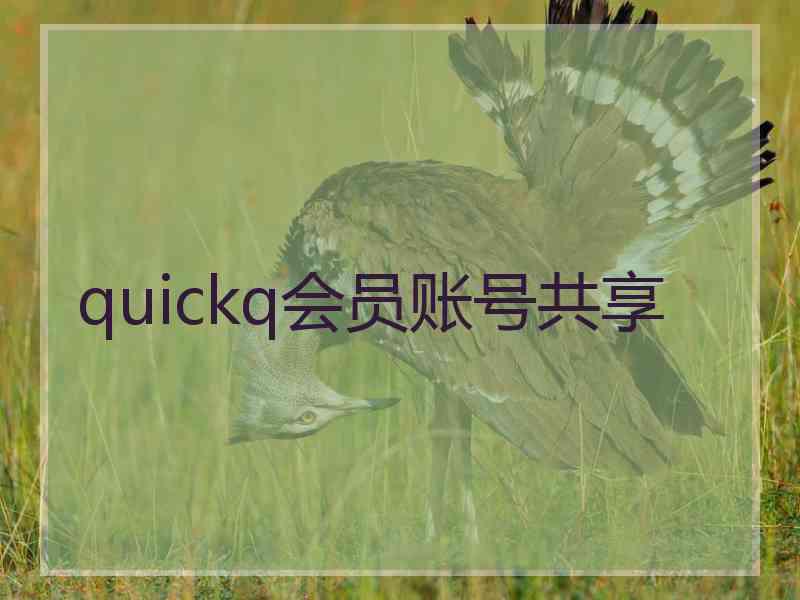 quickq会员账号共享