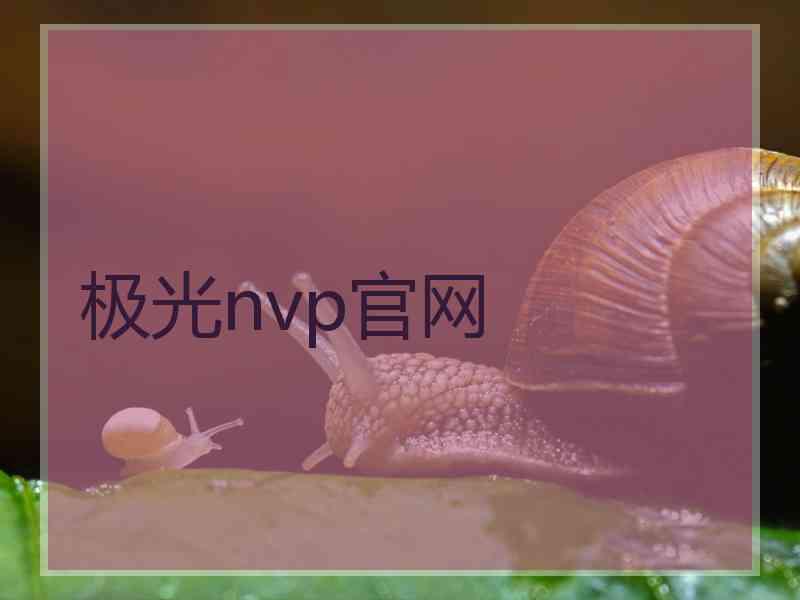 极光nvp官网