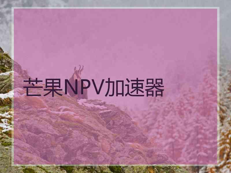 芒果NPV加速器