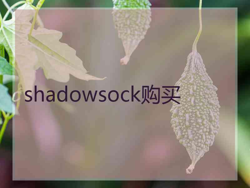 shadowsock购买