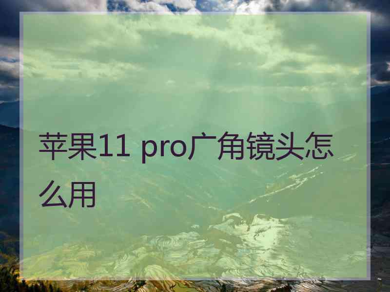 苹果11 pro广角镜头怎么用