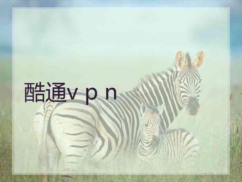 酷通v p n