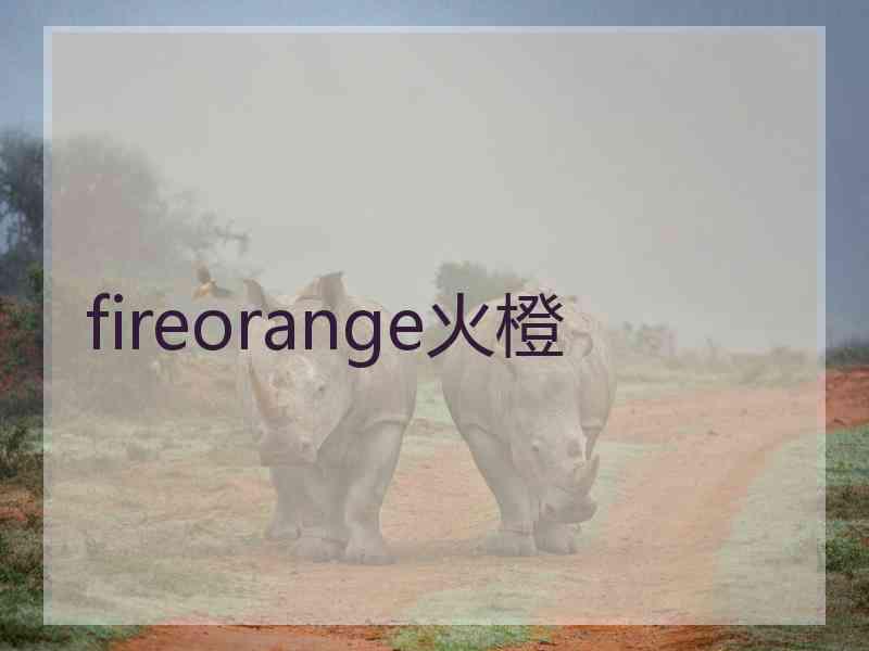 fireorange火橙